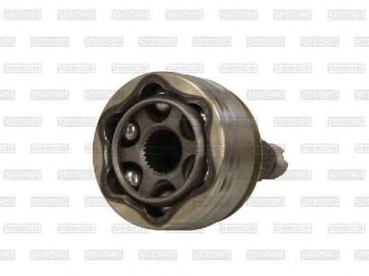 PASCAL G14064PC