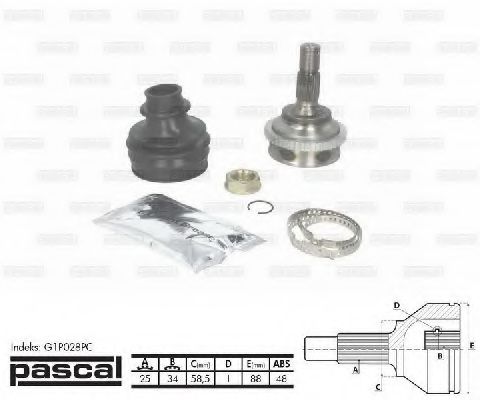 PASCAL G1P028PC