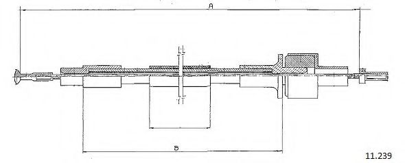 CABOR 11.239 CABOR 11.239