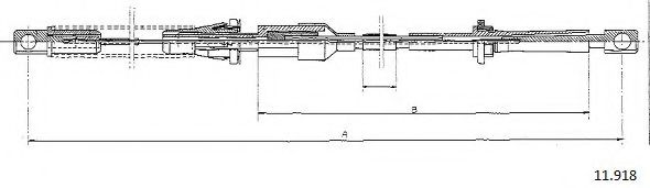 CABOR 11.918
