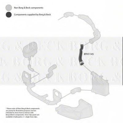 BORG & BECK BTH1145