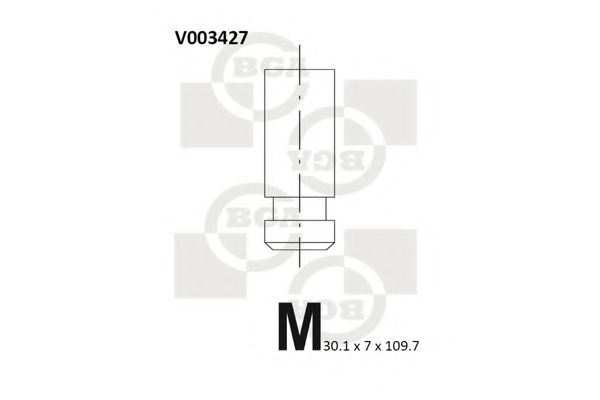 BGA V003427