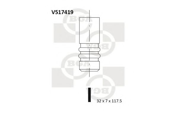 BGA V517419