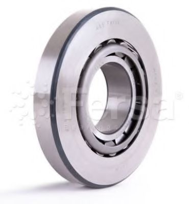 FERSA F 15252