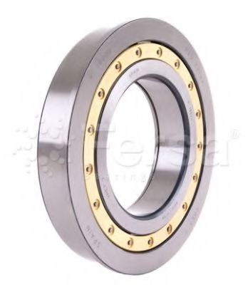 FERSA F 19061