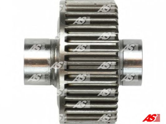 AS-PL SD2019