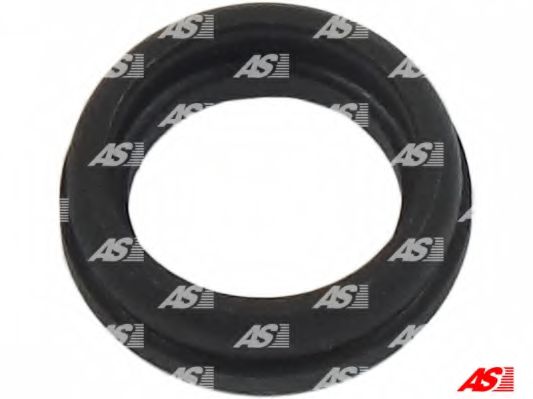 AS-PL SRS0038