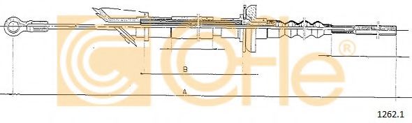 COFLE 1262.1