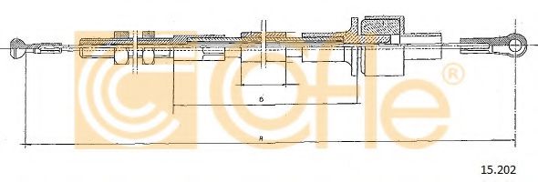 COFLE 15.202 COFLE 15.202