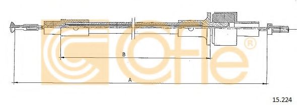 COFLE 15.224