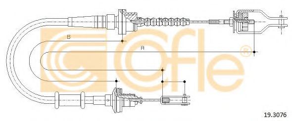 COFLE 19.3076