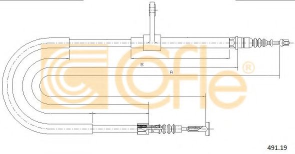 COFLE 491.19