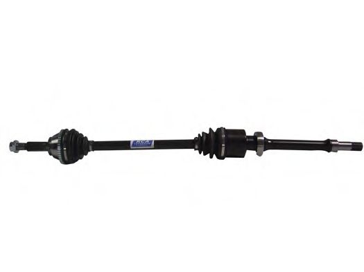 RCA FRANCE AF437AN
