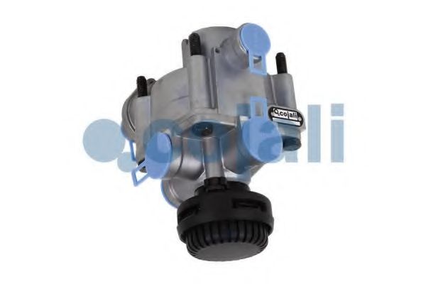 COJALI 2226623 COJALI 2226623