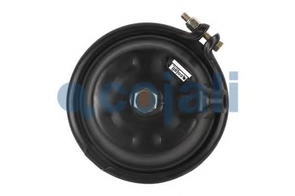 COJALI 2351307