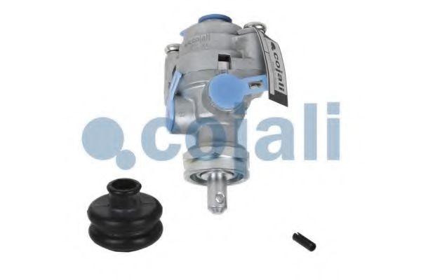 COJALI 2991113
