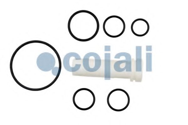 COJALI 6012176