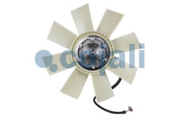 COJALI 7025303