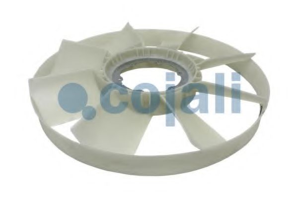 COJALI 7037115