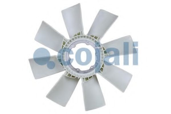 COJALI 7037123