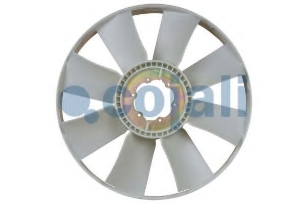 COJALI 7037127