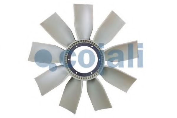 COJALI 7037417 COJALI 7037417
