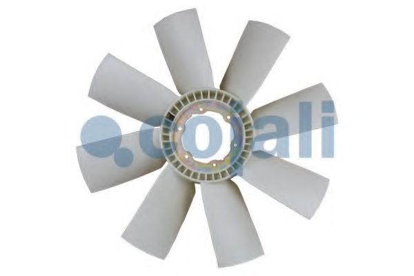 COJALI 7047113