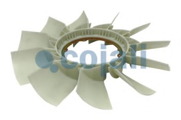 COJALI 7047128 COJALI 7047128