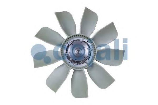 COJALI 7081157 COJALI 7081157