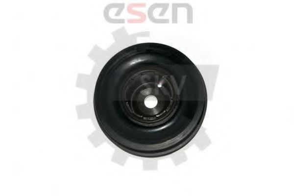 ESEN SKV 95SKV316