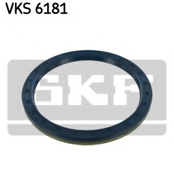 SKF VKS 6181