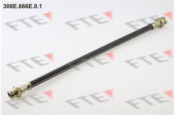 FTE 308E.666E.0.1 FTE 308E.666E.0.1
