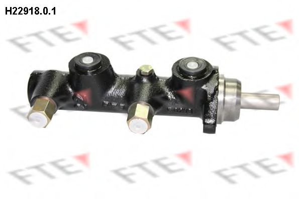 FTE H22918.0.1 FTE H22918.0.1