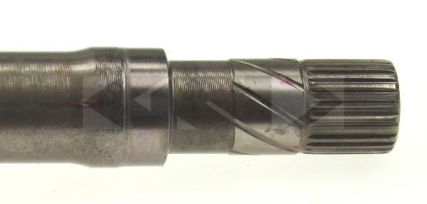LÖBRO 305312
