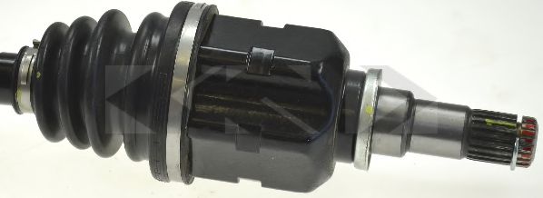 LÖBRO 305414