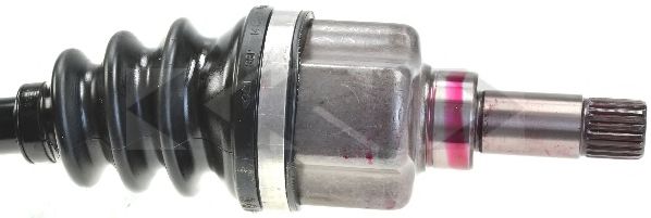 LÖBRO 305576