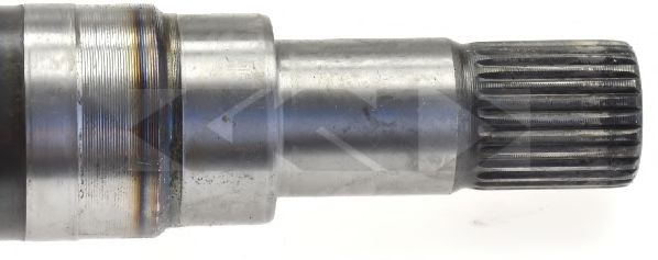 LÖBRO 305633