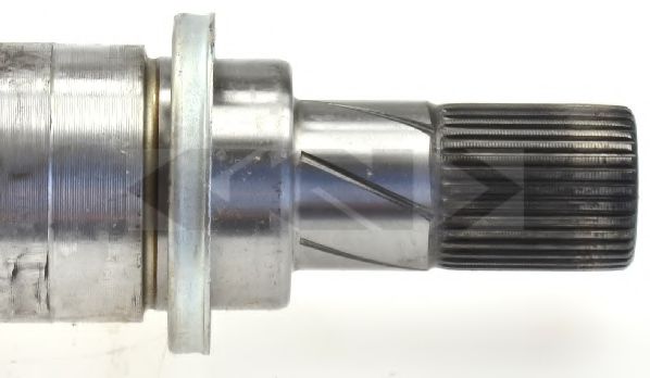 LÖBRO 305635