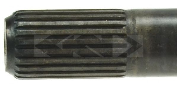 LÖBRO 305654