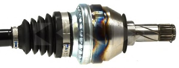 LÖBRO 305788