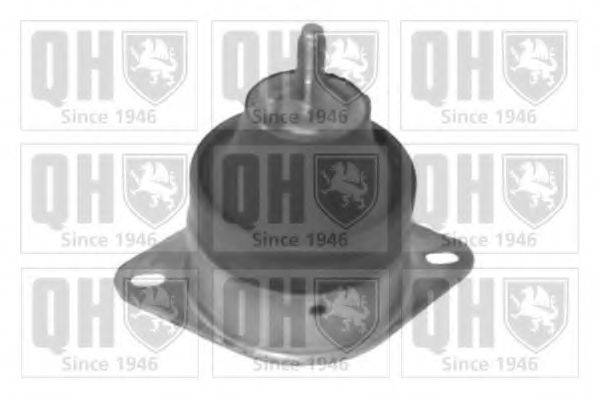 QUINTON HAZELL EM4324