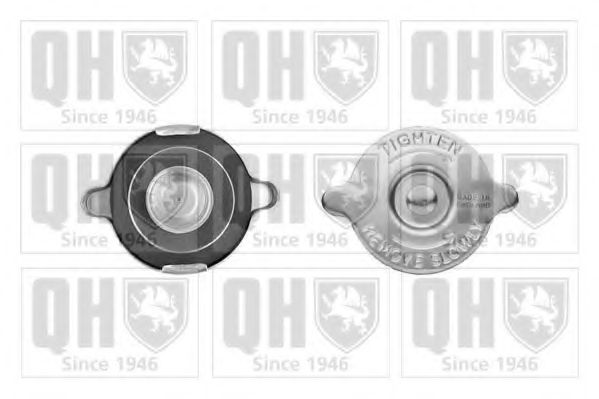 QUINTON HAZELL FC50 QUINTON HAZELL FC50