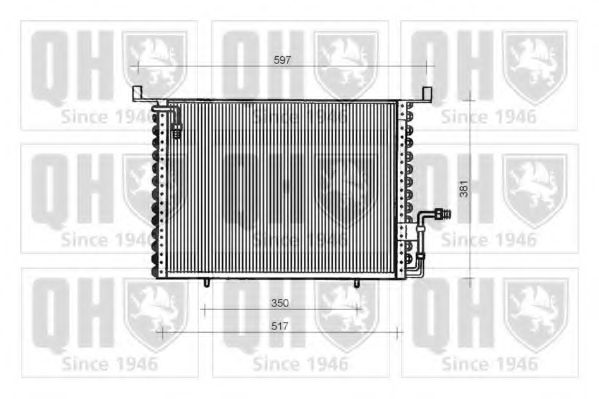 QUINTON HAZELL QCN116