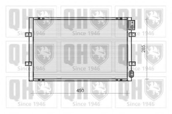 QUINTON HAZELL QCN126