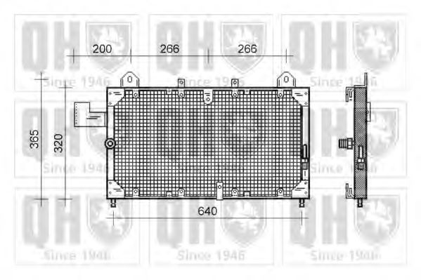 QUINTON HAZELL QCN207