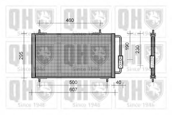 QUINTON HAZELL QCN211