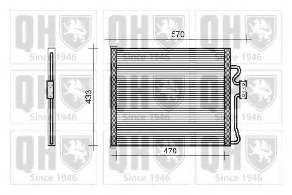 QUINTON HAZELL QCN213