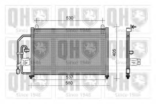 QUINTON HAZELL QCN235