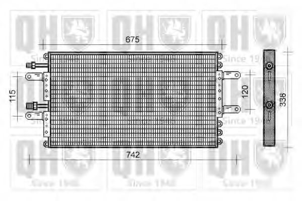 QUINTON HAZELL QCN326