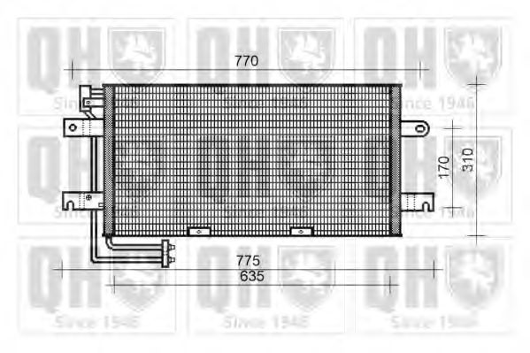 QUINTON HAZELL QCN359